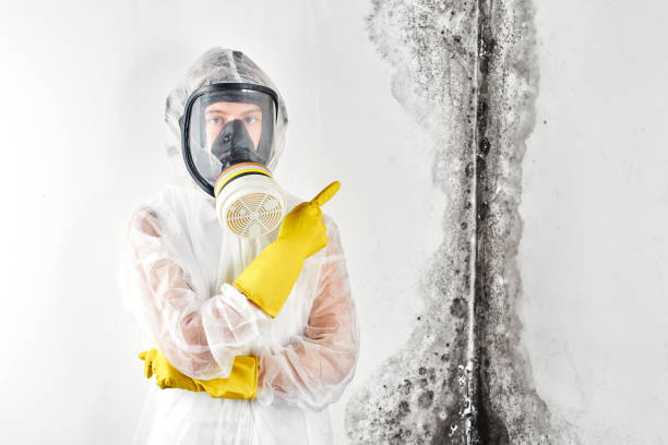 Best Mold Remediation for Healthcare Facilities in Slippery Rock, PA